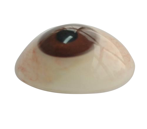 阿克苏微雕义眼定制